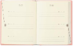 Midori 12901006 Diary 3 Years Consecutive Door Mini Pink JAPAN
