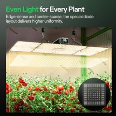 LumaLight 200W LED Grow Light, Full Spectrum Plant Light, Smart Dimmable & High