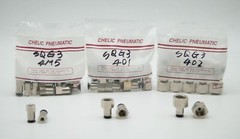 CHELIC SQG3 402 Ø04-1/4″ BSPT Female push to connector Fitting (10 PCS PER BAG)