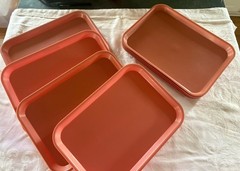 Lot Of 9 Coral Dental Plastic Instrument Trays, Size B 13.25″ x 9.75″ GUC