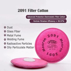 2091 P100 Particulate Filters 5000, 6000, 7000 and FF-400 Series 10-100PCS