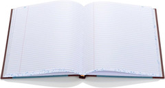 S300 Line Accounting Journal, Single Entry Ledger, 11.75 X 7.25 Inches, 150 Pag