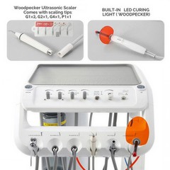 Portable Dental Unit w/ Air Compressor Curing Light Scaler 4H Handpieces