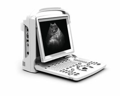 Chison ECO3 Vet Veterinary Ultrasound With Equine Rectal Probe Warranty 3 Years