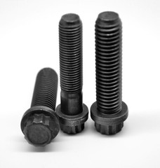 5/16-24 x 3/4 Fine 12-Point Flange Screw Black Oxide