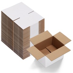Calenzana 8x6x4 Shipping Boxes Set of 40, White Corrugated Cardboard Box for …