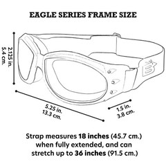 Birdz Eyewear Eagle Motorcycle Goggles (Black Frame/Smoke Lens)