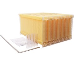 7pcs Automatic Honey Harvster Beehive Frames BPA FREE for Beekeeping Beekeepers