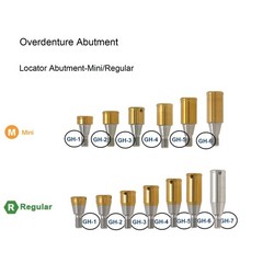 US Hiossen ET Dental Prosthetics Titanium All Implant Abutments fit Mini/Regular