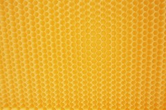 7pcs Automatic Honey Harvster Beehive Frames BPA FREE for Beekeeping Beekeepers