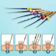 AZDENT Dental Gold Taper NITI Endo Rotary Files 6pcs Endodontic Files 19mm/ 25mm