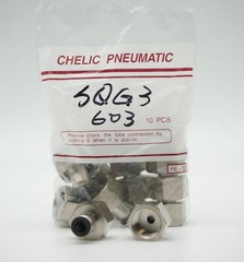 CHELIC SQG3 603 Ø06-3/8″ BSPT Female push to connector Fitting (10 PCS PER BAG)