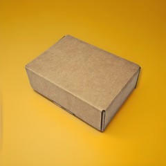 50 Pieces 9″ x 6″ x 3″ Corrugated Security Mailer Shipping Box
