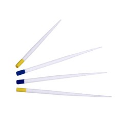 Dental Endo Gutta Percha Points & Absorbent Paper Points F# Endodontics Root USe