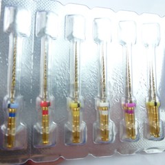Easyinsmile Dental Endodontic Rotary Files X-Pro Gold Taper NITI Endo Files SX F