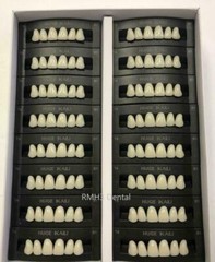 HUGE KAILI Synthetic Polymer False Teeth Upper Anterior T10 Full Box 16sets/6pcs