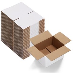 Calenzana 8x6x4 Shipping Boxes Set of 40, White Corrugated Cardboard Box for Mai